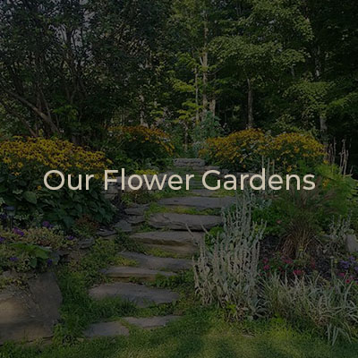 Our Flower Gardens